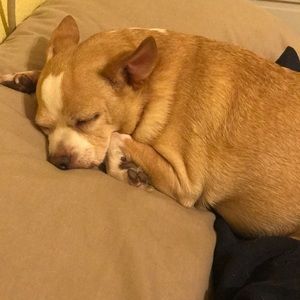 Meet your Posher, Connie